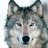 Wolf2024